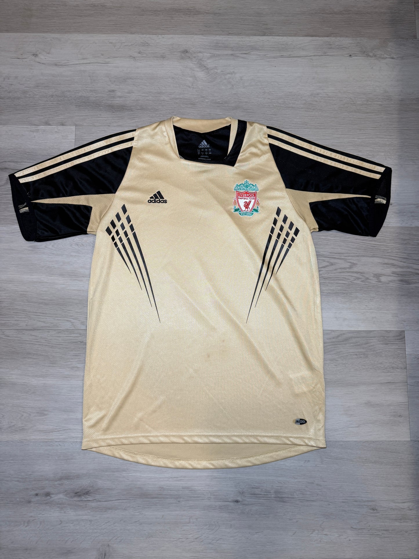 Liverpool 2008-09 Training Kit (M)