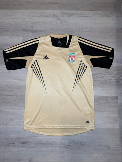 Liverpool 2008-09 Training Kit (M)
