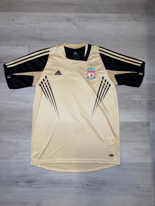 Liverpool 2008-09 Training Kit (M)